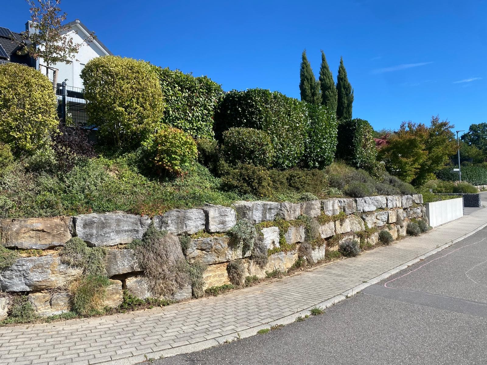 Hero-Bild von TJB GaLaBau